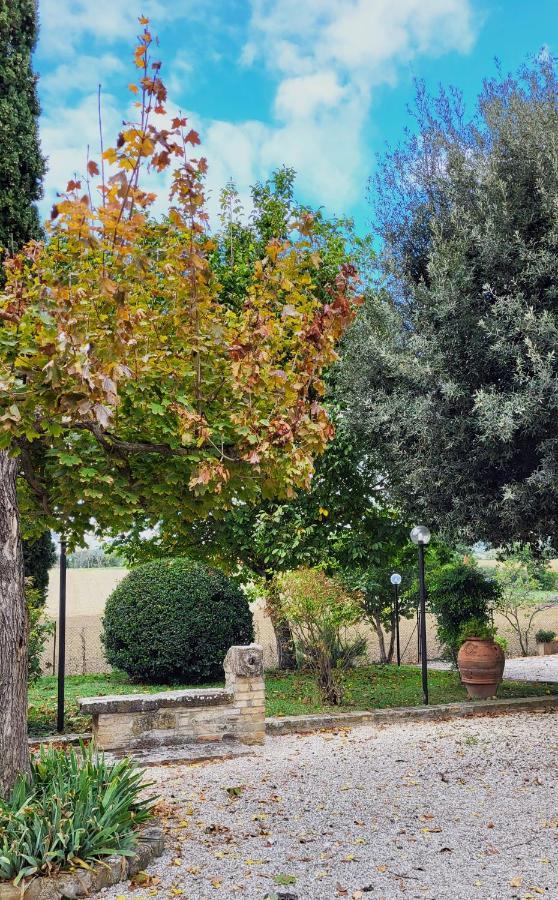 Le Case Dell'Olmo Assisi Exteriör bild