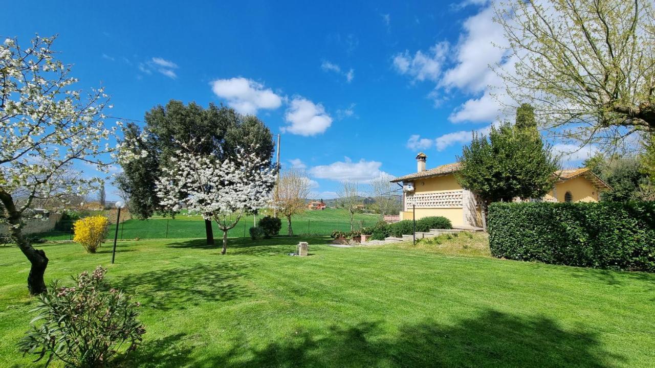 Le Case Dell'Olmo Assisi Exteriör bild
