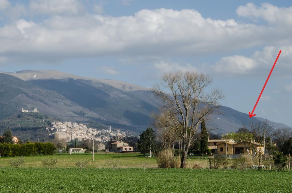 Le Case Dell'Olmo Assisi Exteriör bild
