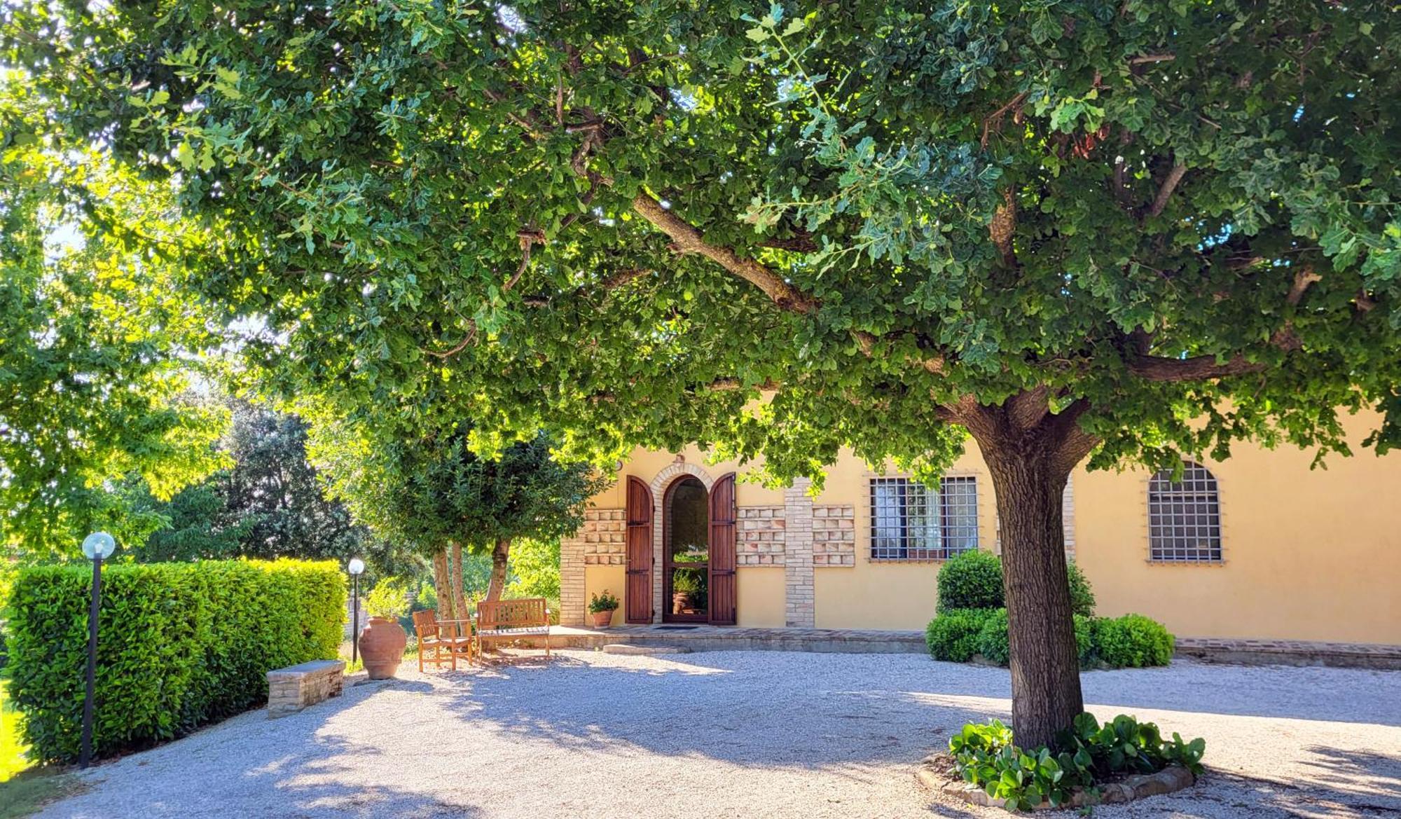 Le Case Dell'Olmo Assisi Exteriör bild