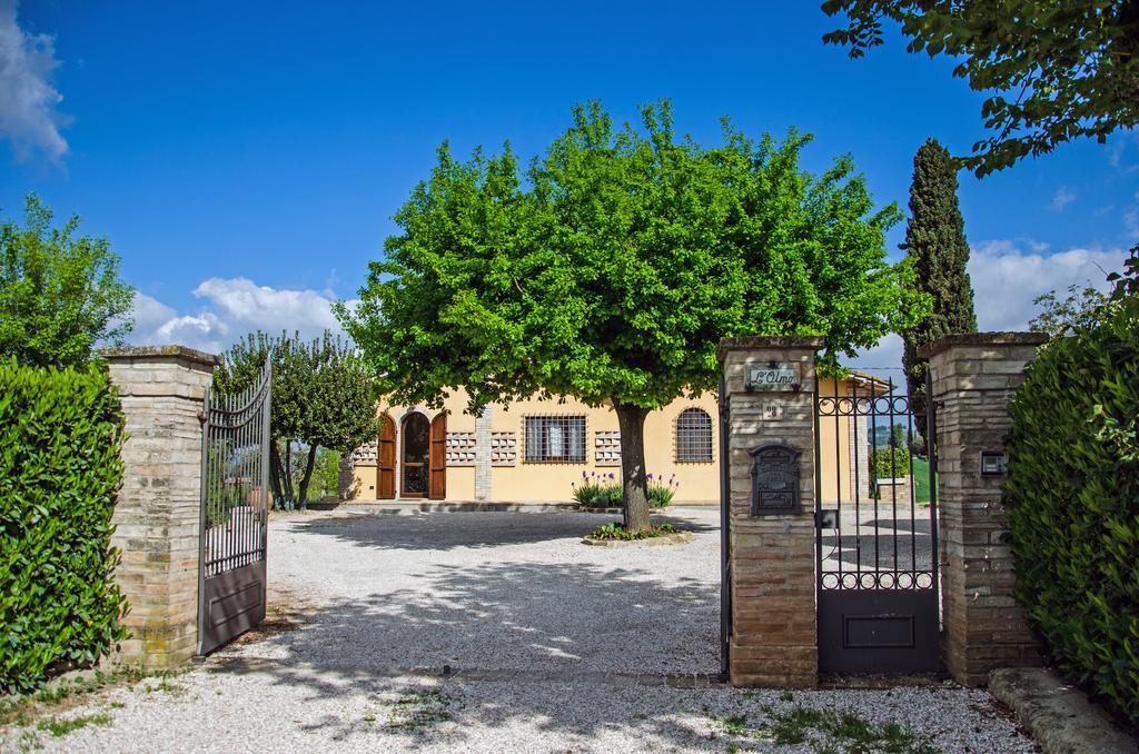 Le Case Dell'Olmo Assisi Exteriör bild